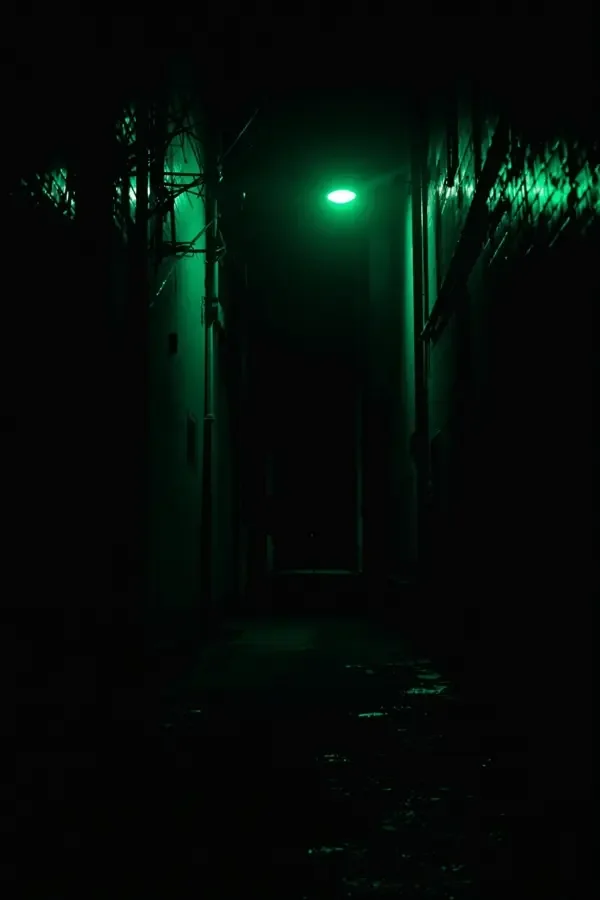 AI片库《暗夜追光者》封面